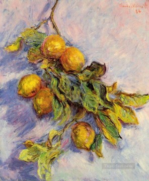  Limones Pintura - Limones en una rama Claude Monet